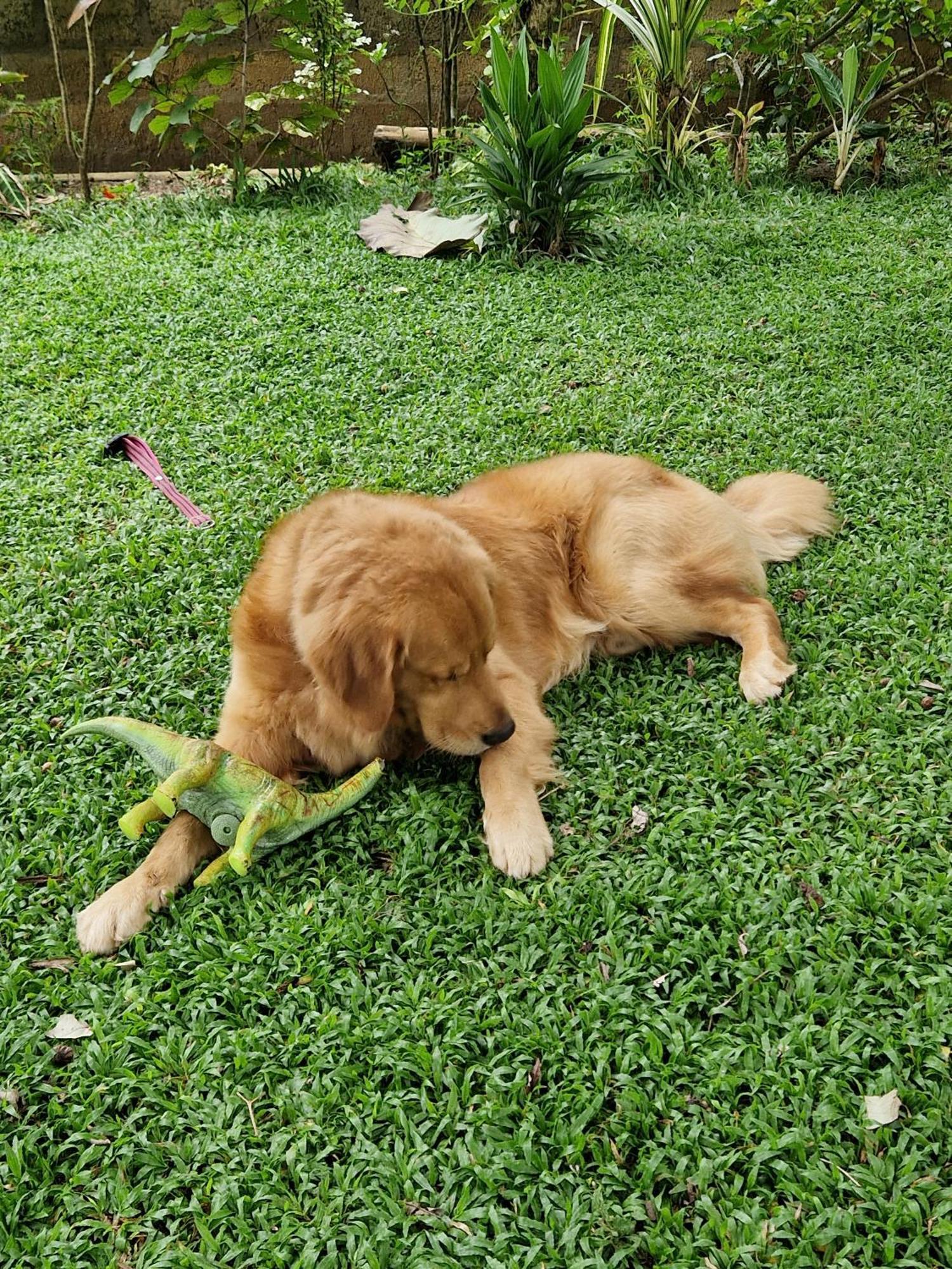 Villa Sole แคนดี้ ภายนอก รูปภาพ