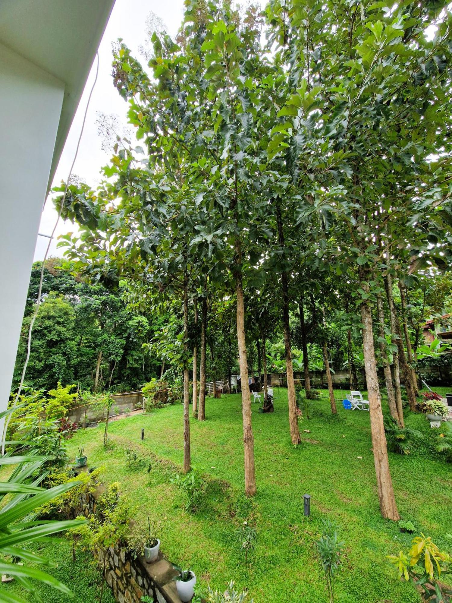 Villa Sole แคนดี้ ภายนอก รูปภาพ